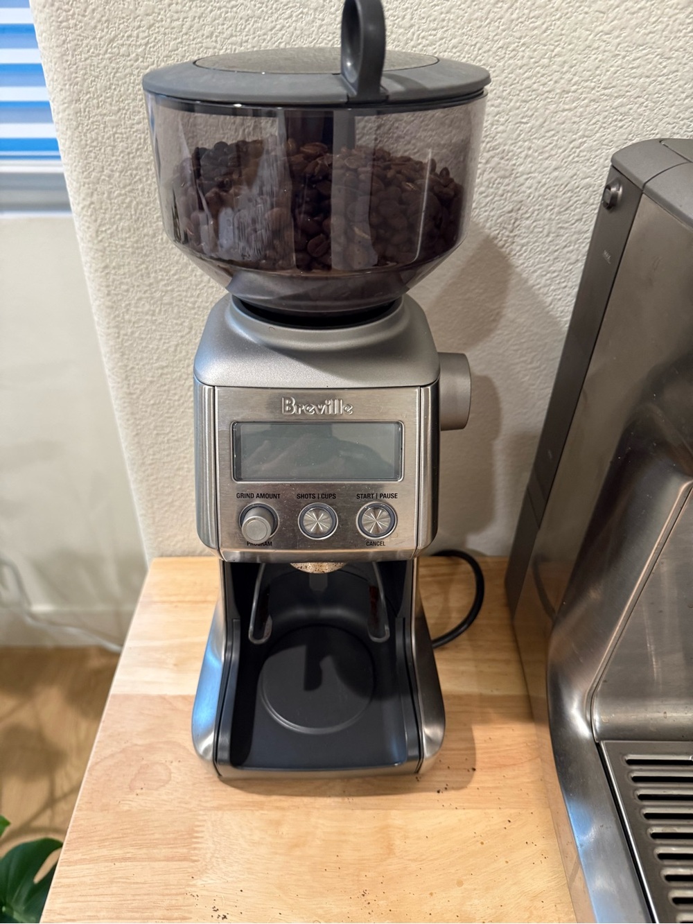 Breville Silver Electric Burr Coffee Grinder with Clear Hopper
